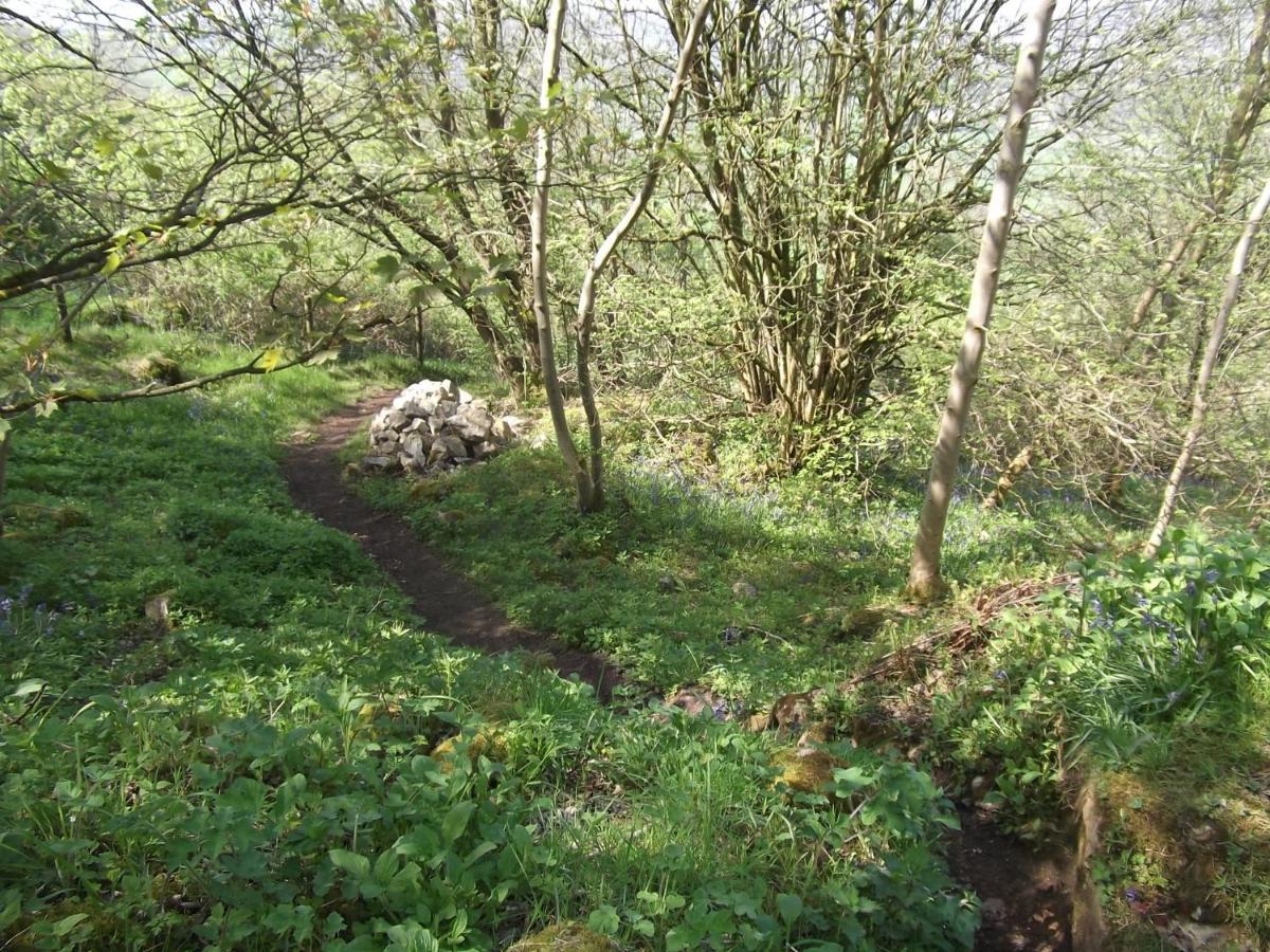 Hall Dale View Near Matlock & Peak District Extérieur photo